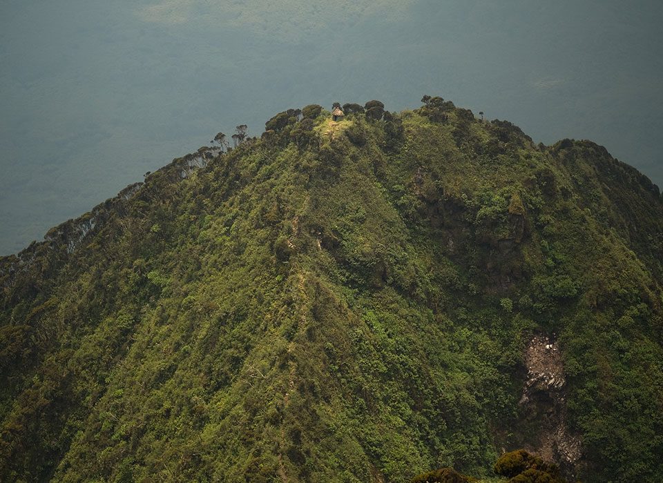 Mountain Hiking in Uganda