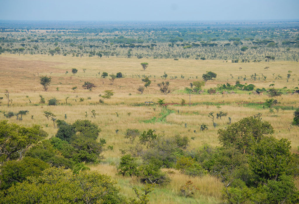 The Untouched Wilderness of Uganda’s Pian Upe Wildlife Reserve