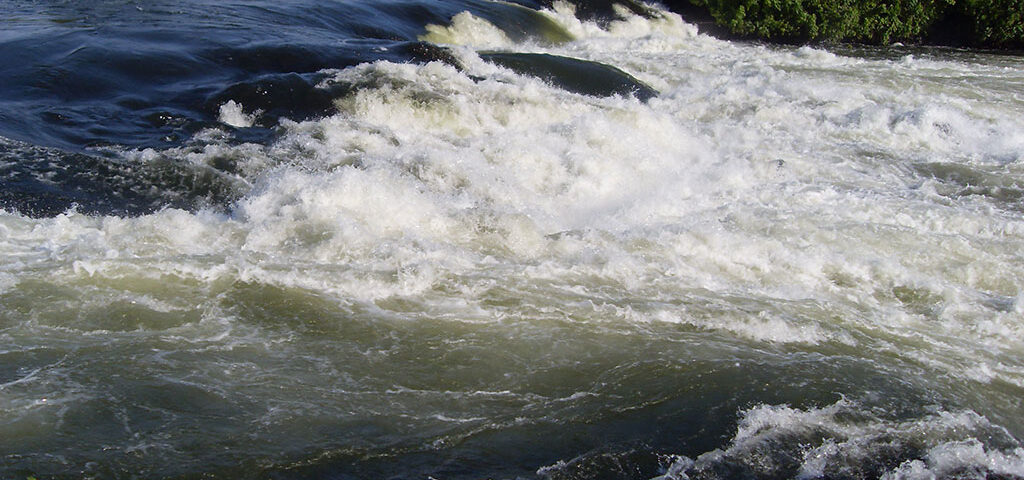 Rivers of Uganda After Gorilla Trek