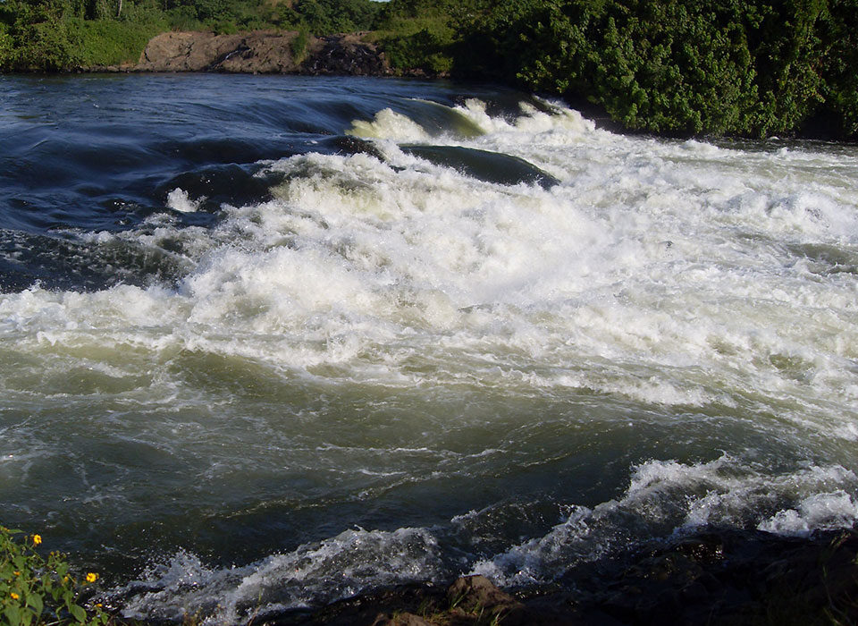 Rivers of Uganda After Gorilla Trek